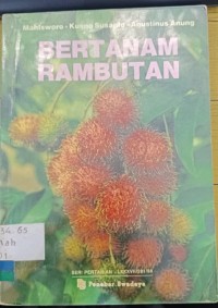 Image of Bertanam Rambutan